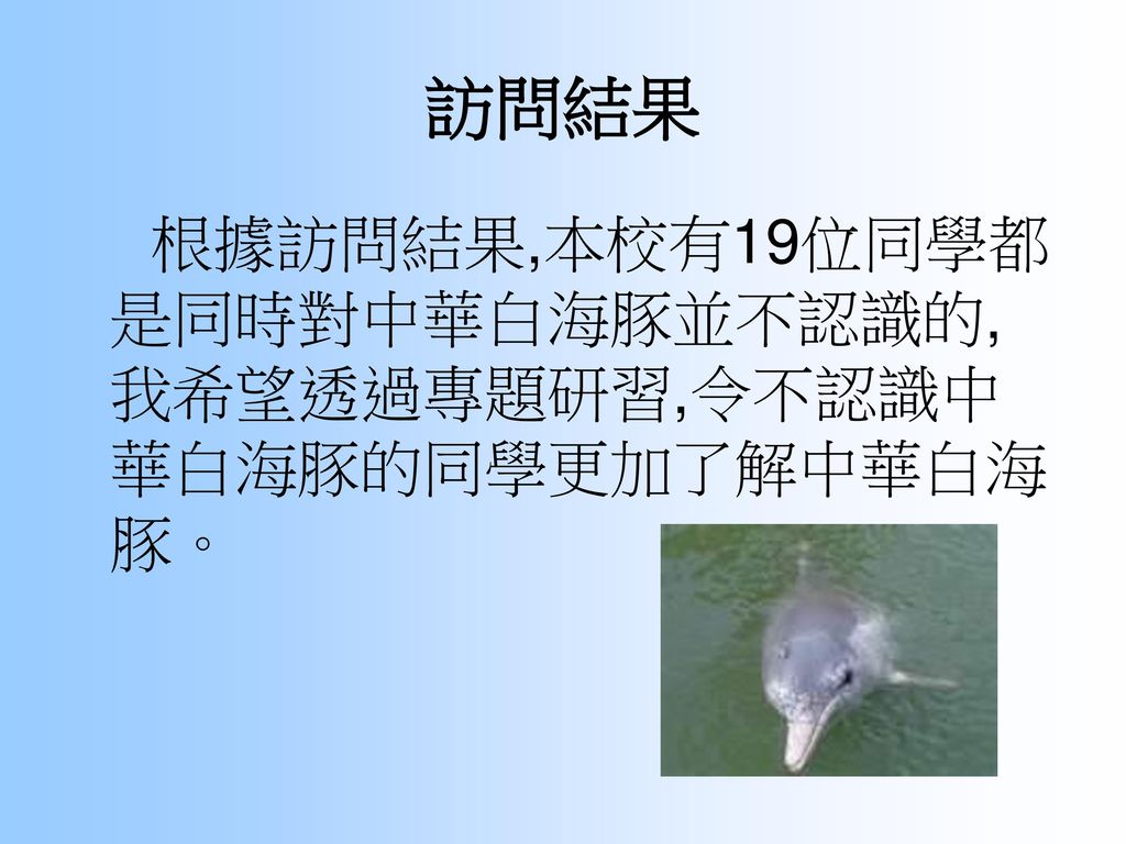 訪問結果 根據訪問結果,本校有19位同學都是同時對中華白海豚並不認識的,我希望透過專題研習,令不認識中華白海豚的同學更加了解中華白海豚。