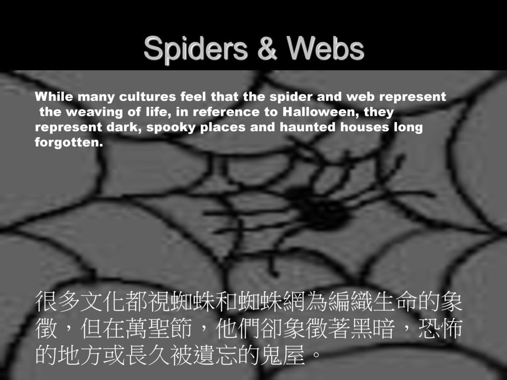 Spiders & Webs 很多文化都視蜘蛛和蜘蛛網為編織生命的象徵，但在萬聖節，他們卻象徵著黑暗，恐怖的地方或長久被遺忘的鬼屋。