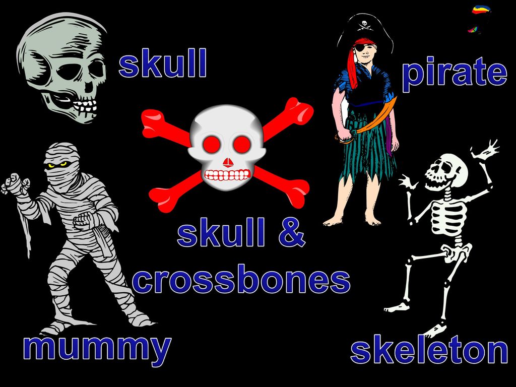 skull pirate skull & crossbones mummy skeleton