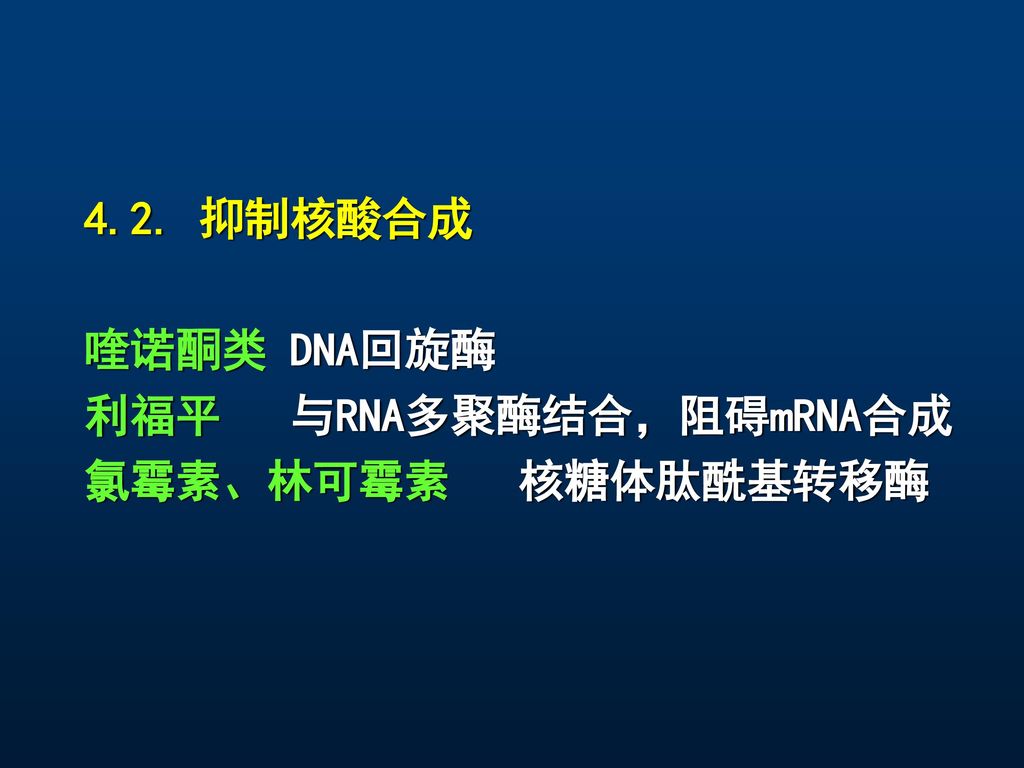 4.2. 抑制核酸合成 喹诺酮类 DNA回旋酶 利福平 与RNA多聚酶结合，阻碍mRNA合成 氯霉素、林可霉素 核糖体肽酰基转移酶