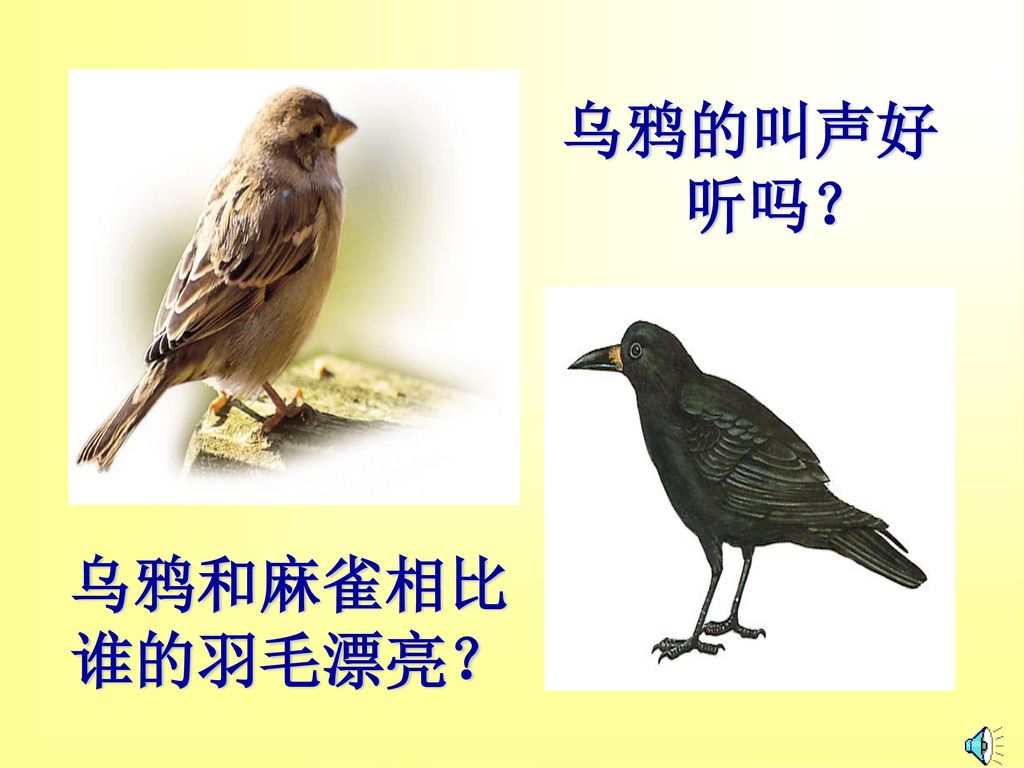 乌鸦的叫声好 听吗？ 乌鸦和麻雀相比 谁的羽毛漂亮？