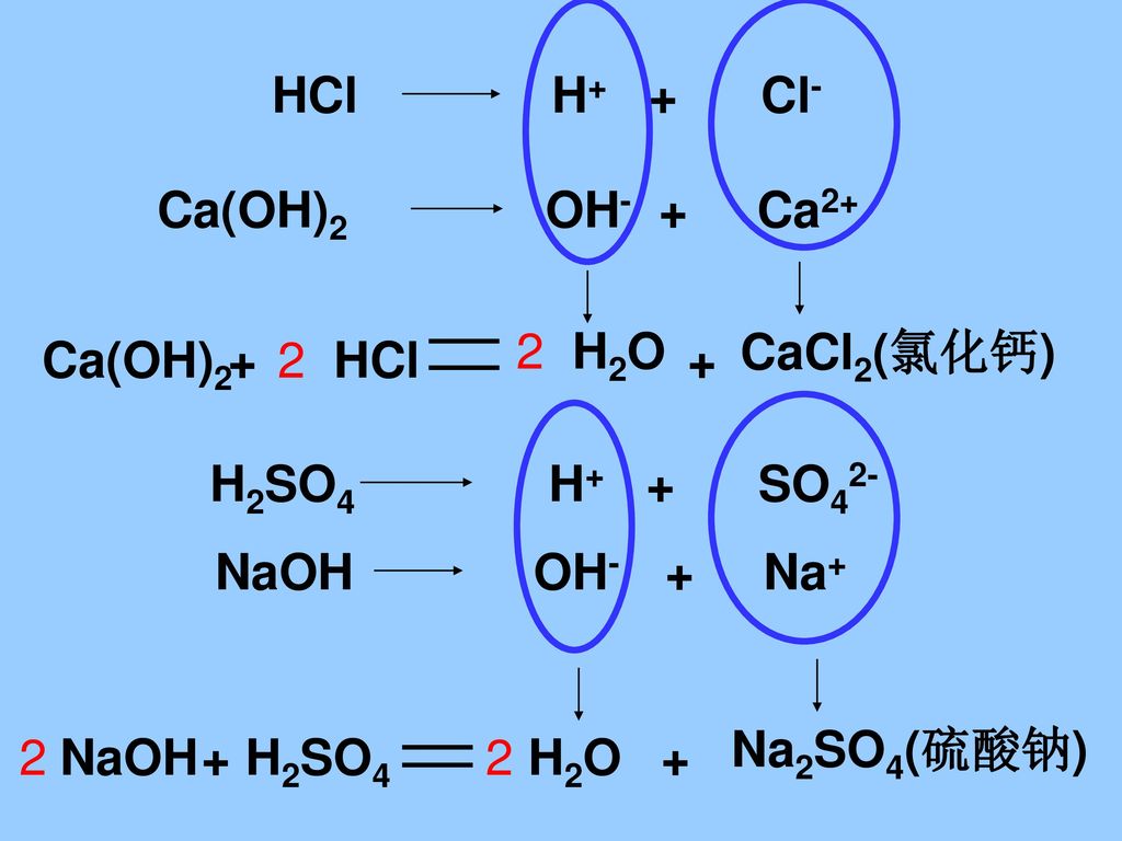 HCl H+ + Cl- Ca(OH)2 OH- + Ca2+ 2. H2O. CaCl2(氯化钙) Ca(OH)2.
