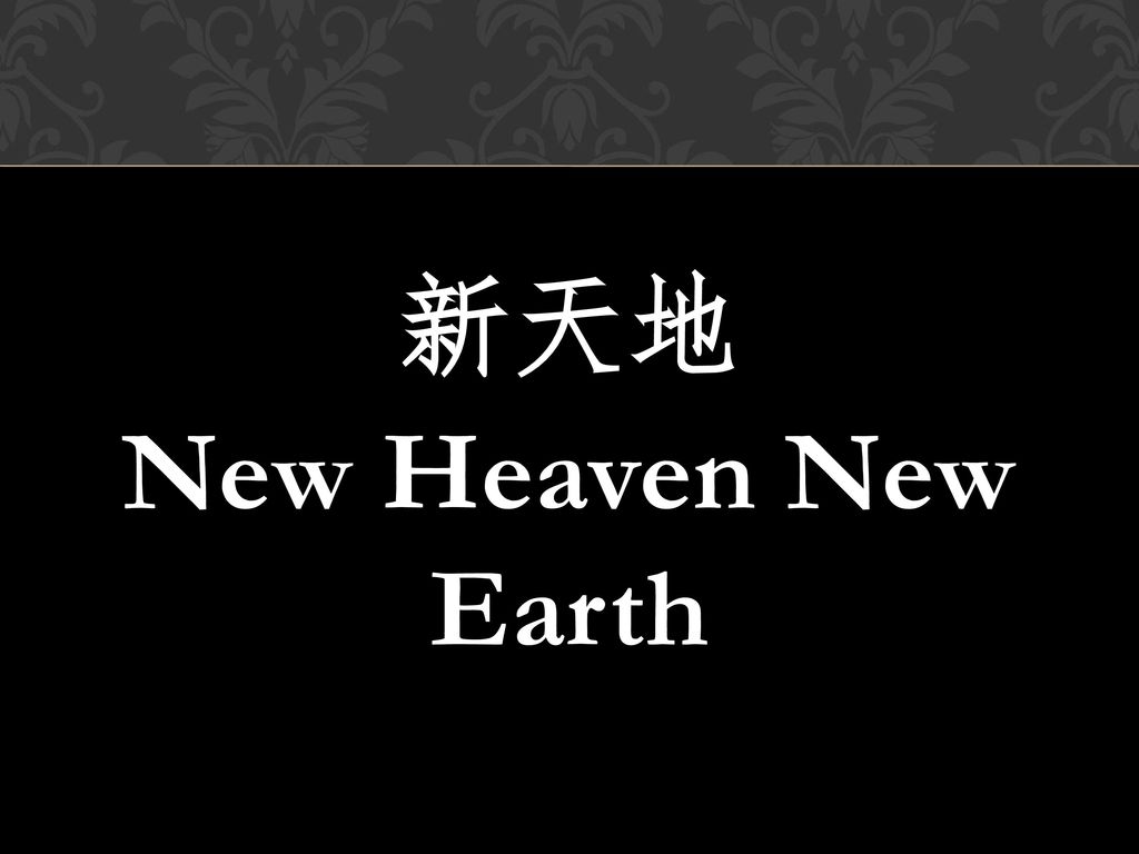 新天地 New Heaven New Earth
