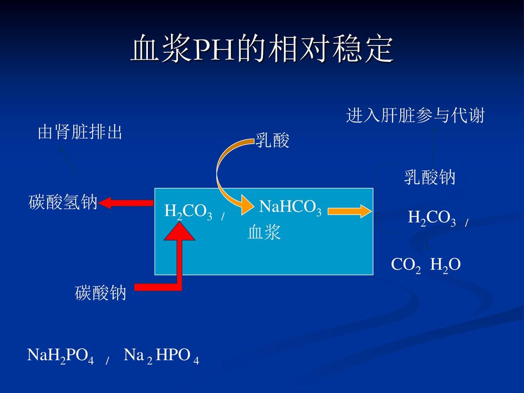 血浆PH的相对稳定 进入肝脏参与代谢 由肾脏排出 乳酸 乳酸钠 碳酸氢钠 NaHCO3 H2CO3 / 血浆 H2CO3 / CO2 H2O