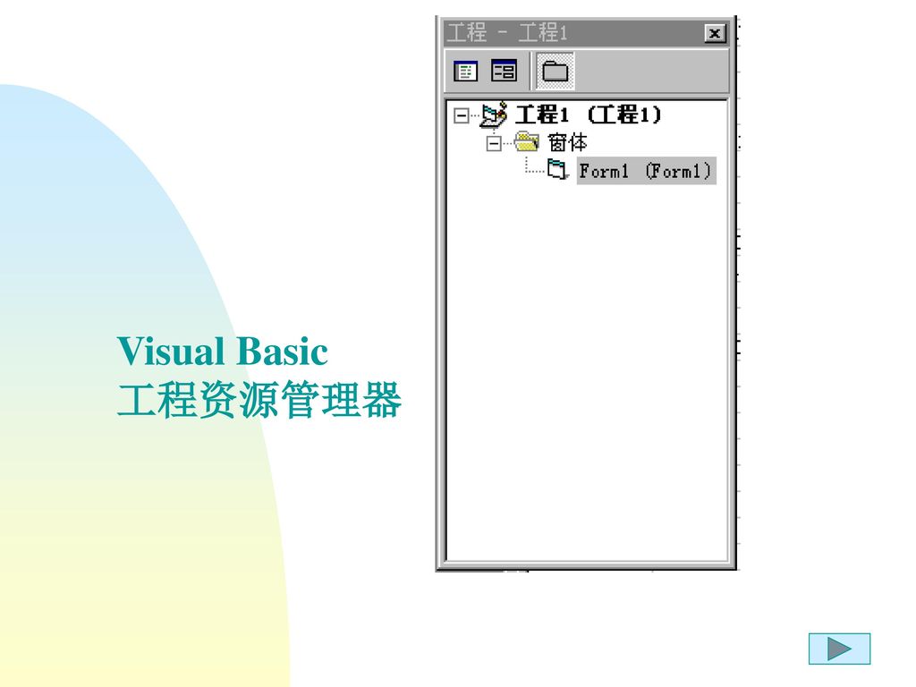 Visual Basic 工程资源管理器