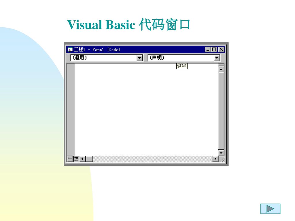 Visual Basic 代码窗口