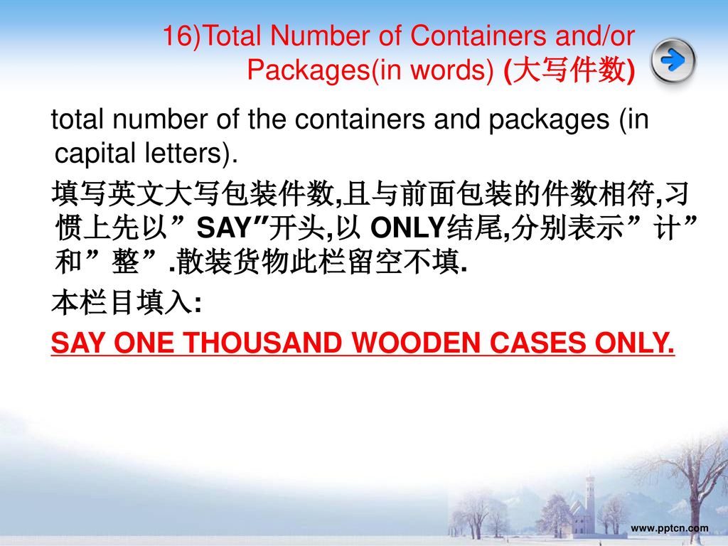 16)Total Number of Containers and/or Packages(in words) (大写件数)