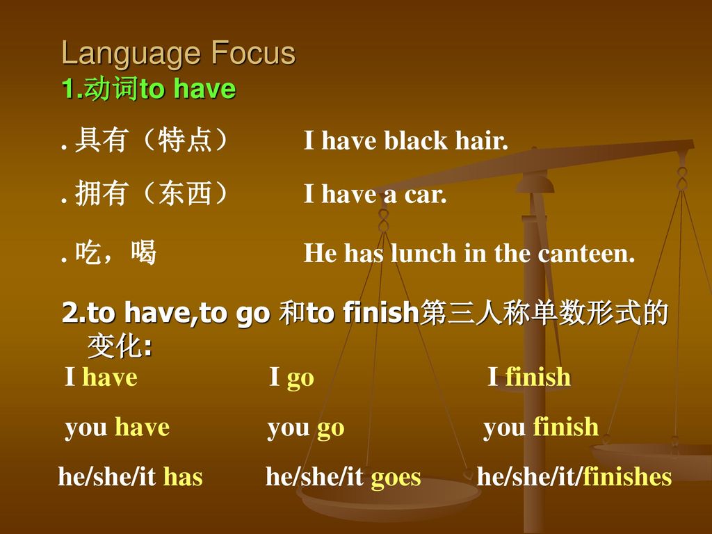 Language Focus 1.动词to have