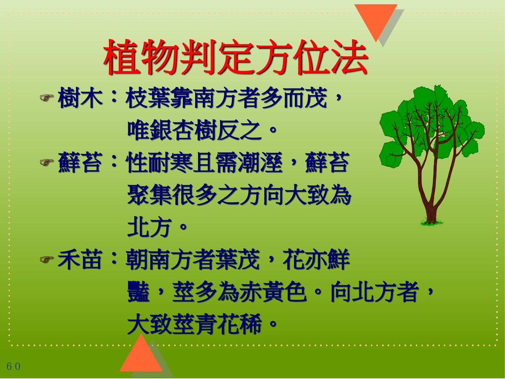 植物判定方位法 樹木：枝葉靠南方者多而茂， 唯銀杏樹反之。 蘚苔：性耐寒且需潮溼，蘚苔 聚集很多之方向大致為 北方。