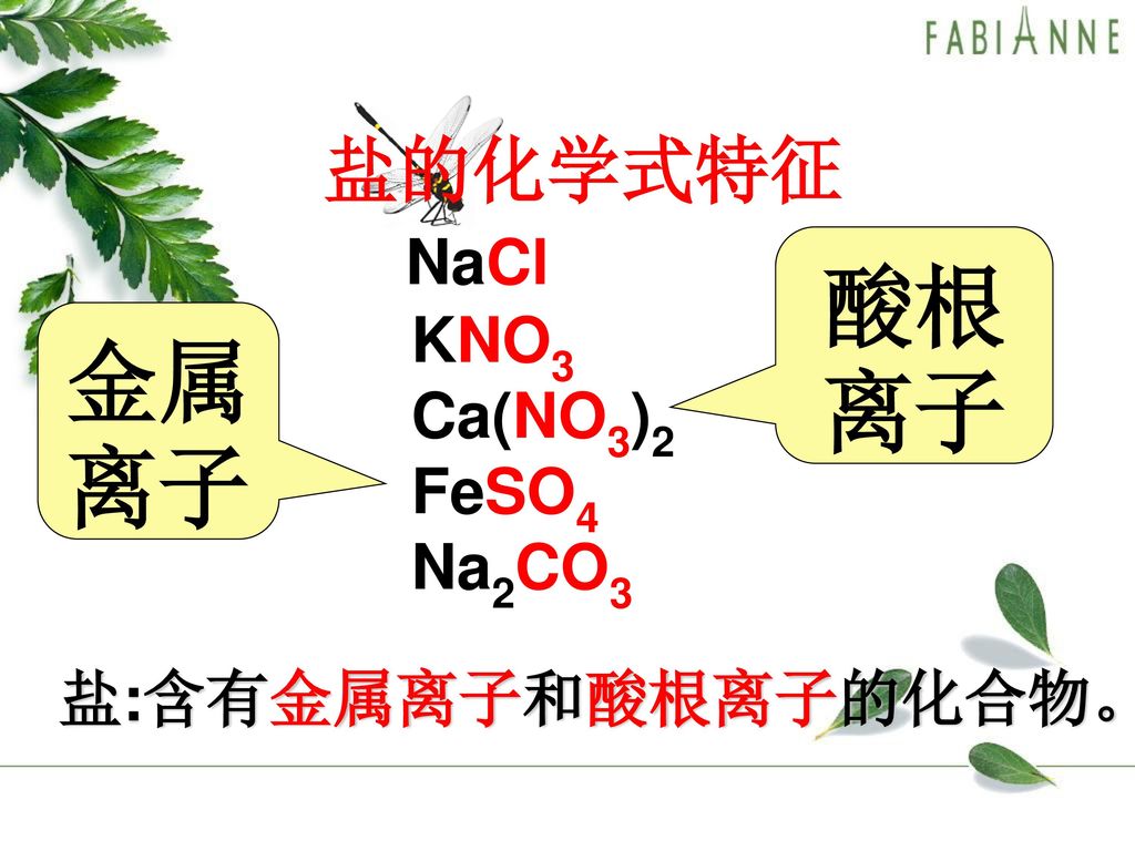 盐的化学式特征 NaCl KNO3 Ca(NO3)2 FeSO4 Na2CO3