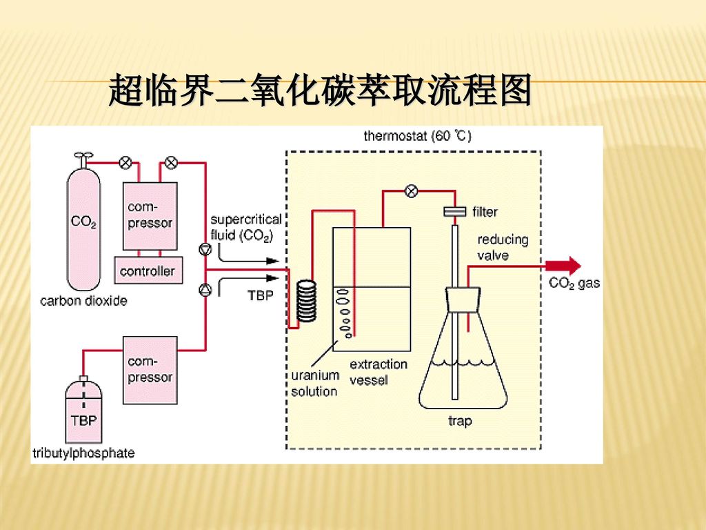 超临界流体萃取技术.