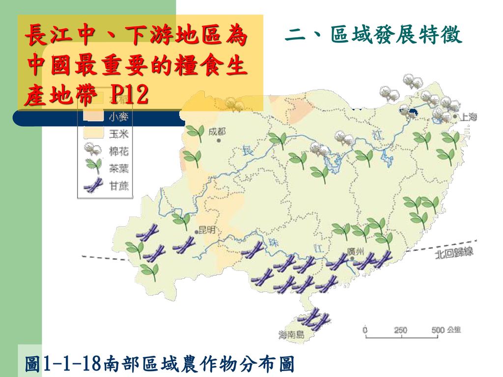 長江中、下游地區為中國最重要的糧食生產地帶 P12