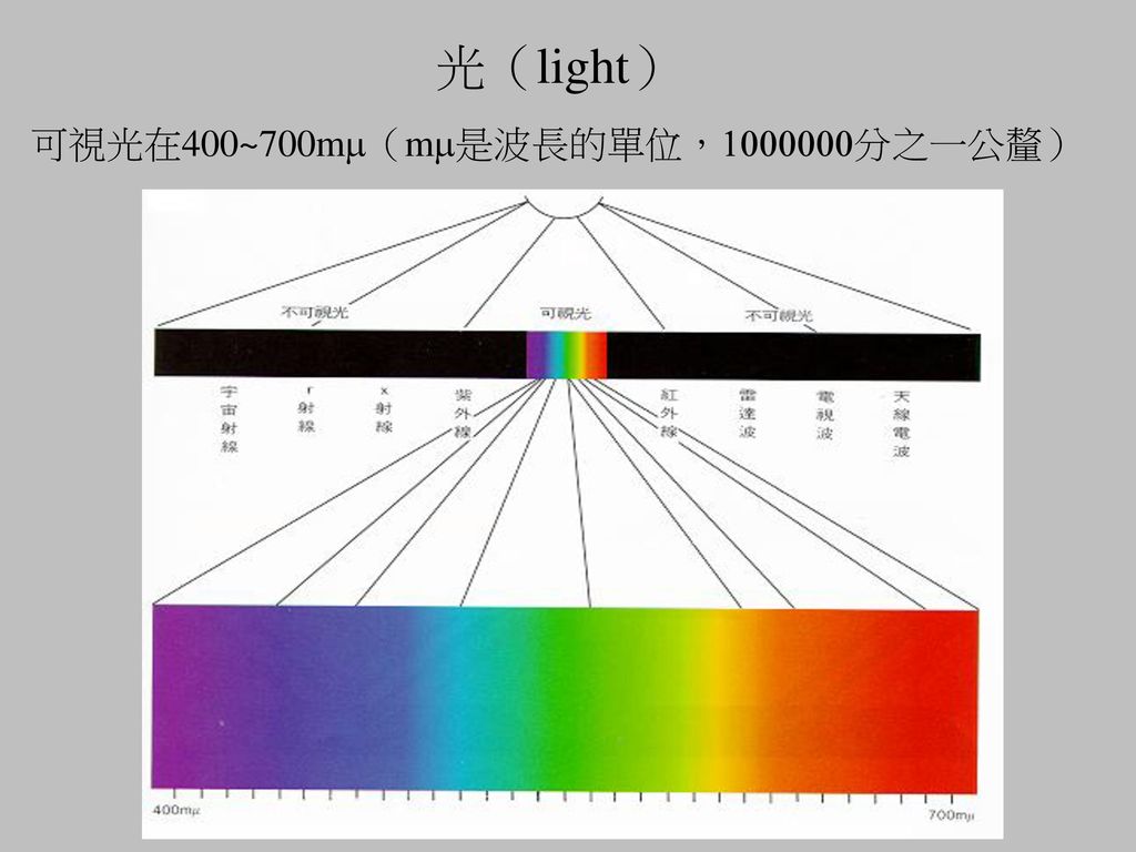 光（light） 可視光在400~700mm（mm是波長的單位， 分之一公釐）