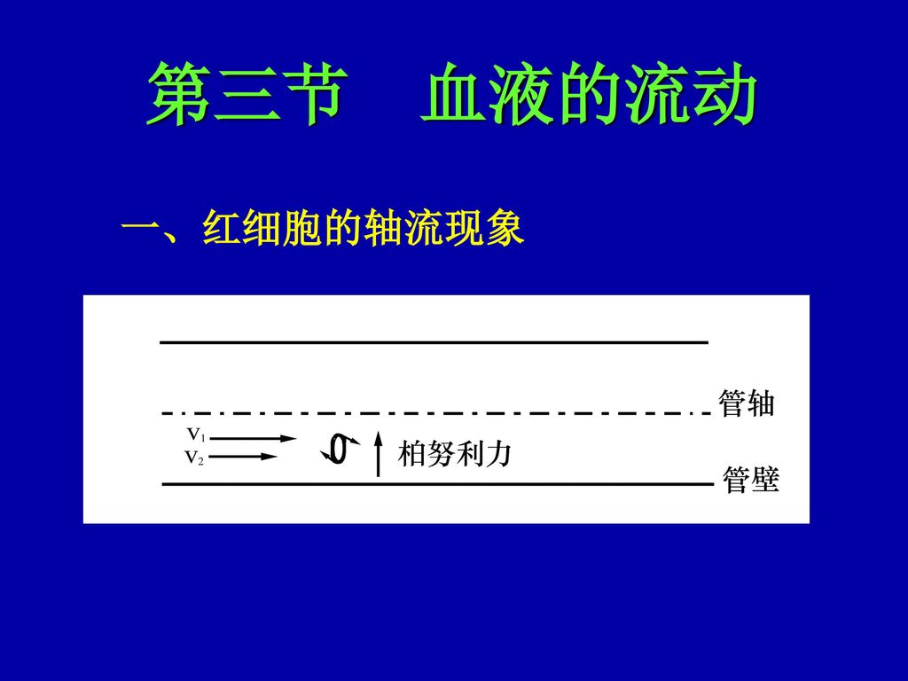 第三节 血液的流动 一、红细胞的轴流现象