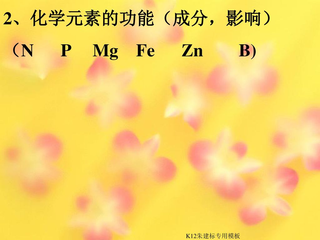 2、化学元素的功能（成分，影响） （N P Mg Fe Zn B) K12朱建标专用模板