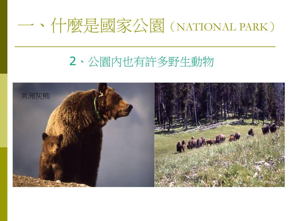 一、什麼是國家公園（NATIONAL PARK）