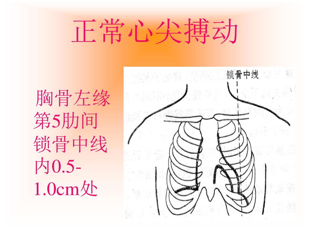 正常心尖搏动 胸骨左缘第5肋间锁骨中线内 cm处