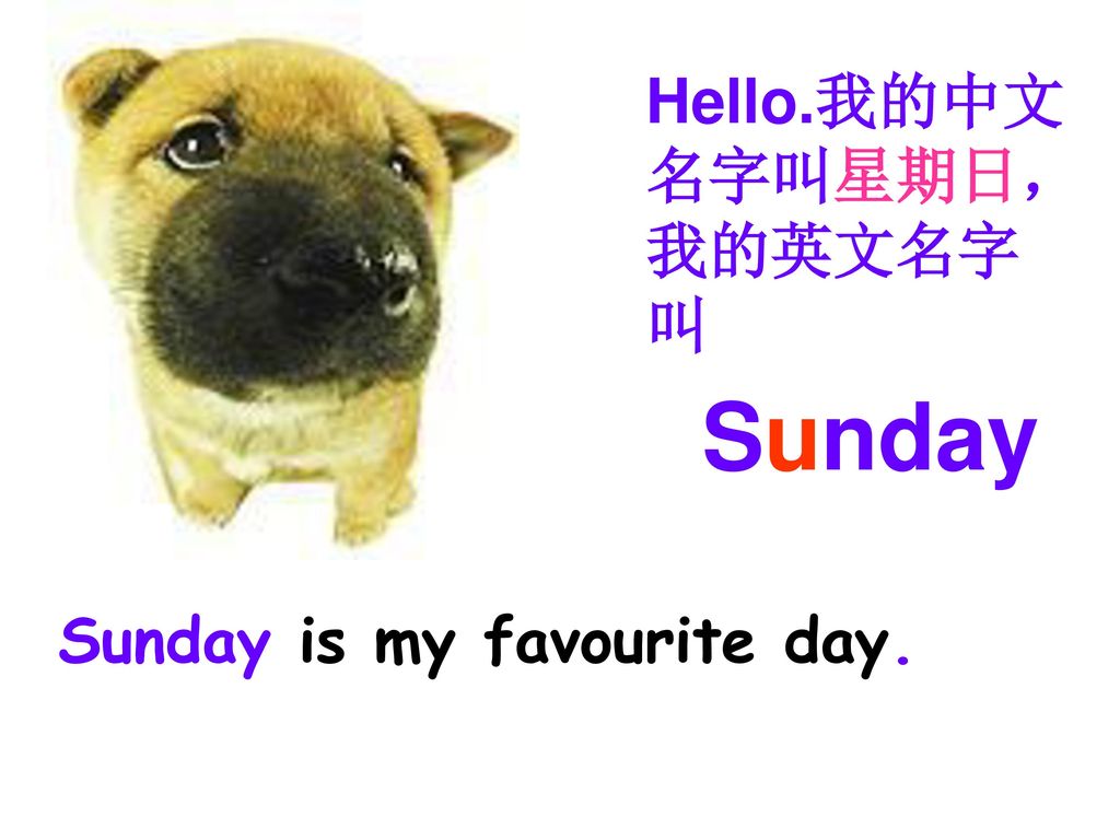 Hello.我的中文 名字叫星期日， 我的英文名字 叫 Sunday Sunday is my favourite day.