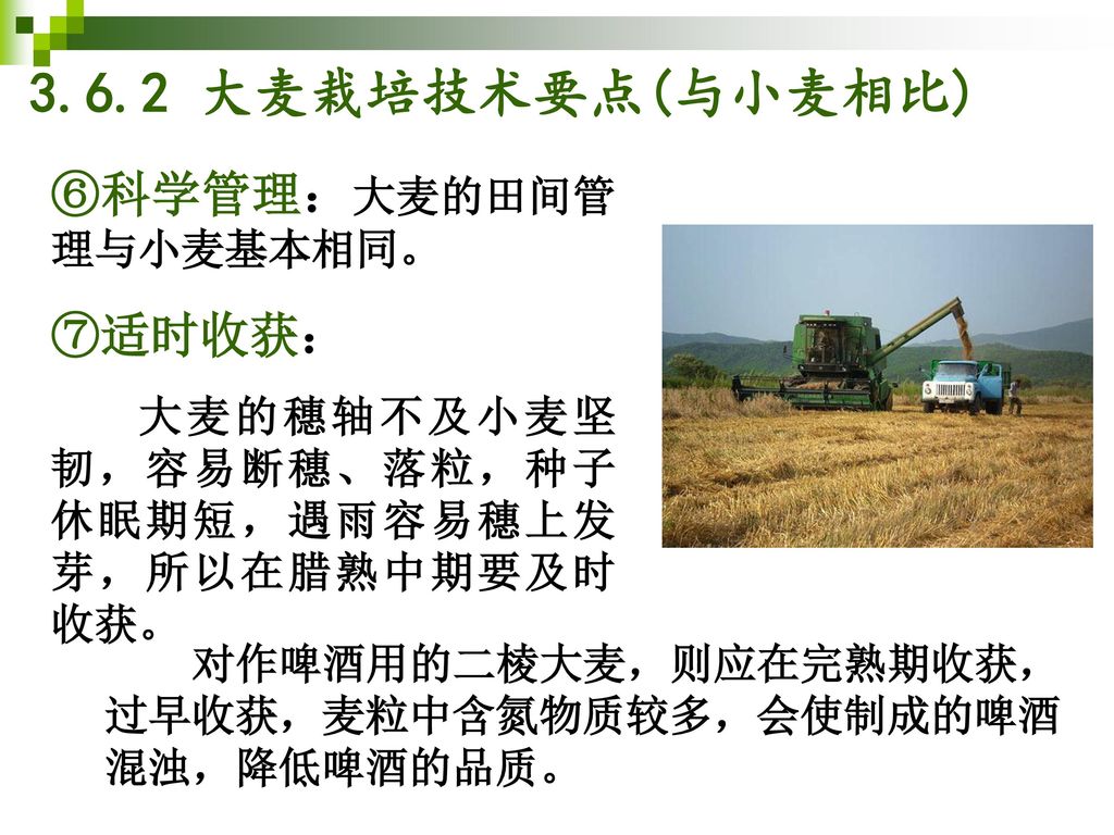 3.6.2 大麦栽培技术要点(与小麦相比) ⑥科学管理：大麦的田间管理与小麦基本相同。 ⑦适时收获：