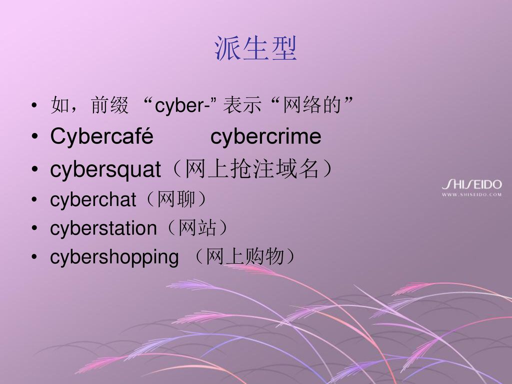 派生型 Cybercafé cybercrime cybersquat（网上抢注域名） 如，前缀 cyber- 表示 网络的