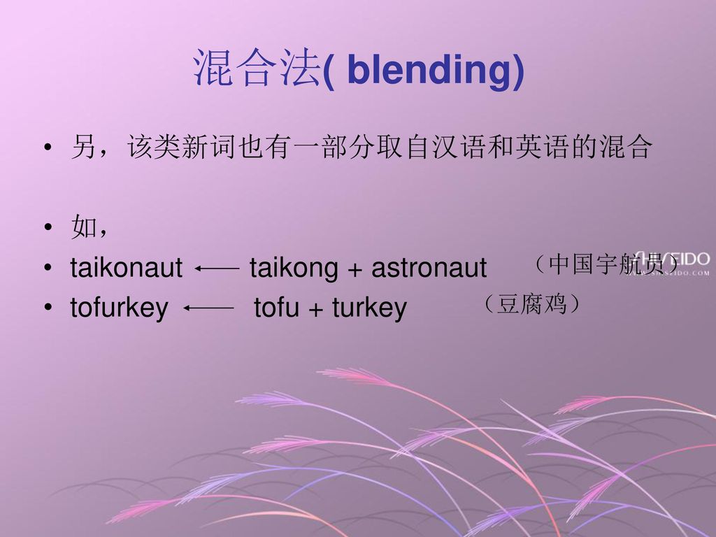 混合法( blending) 另，该类新词也有一部分取自汉语和英语的混合 如， taikonaut taikong + astronaut