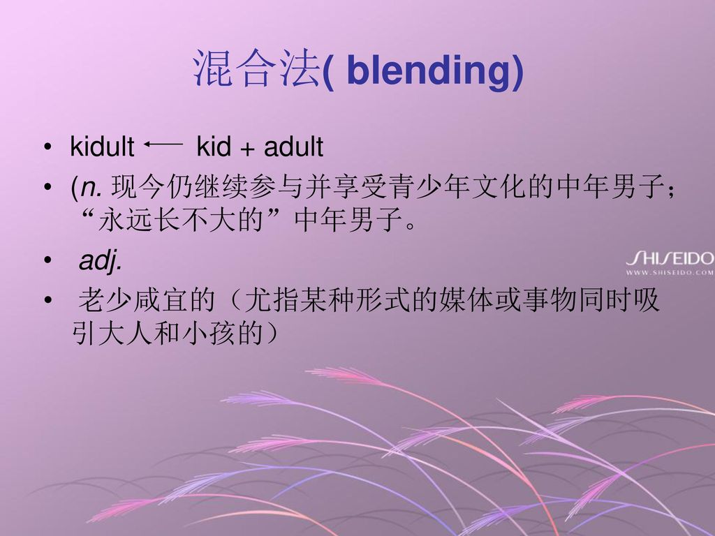 混合法( blending) kidult kid + adult