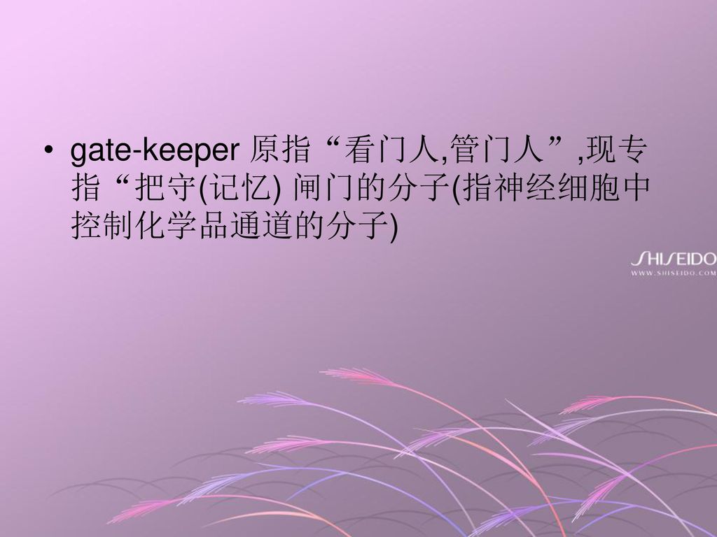 gate-keeper 原指 看门人,管门人 ,现专指 把守(记忆) 闸门的分子(指神经细胞中控制化学品通道的分子)