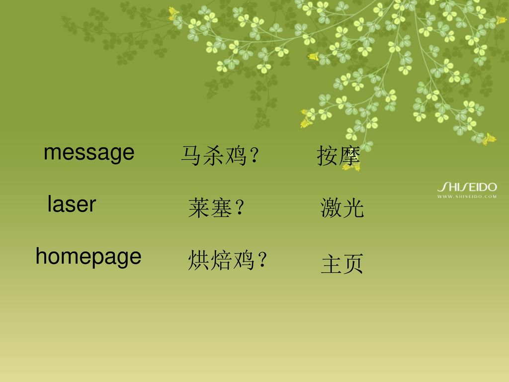 message 马杀鸡？ 按摩 laser 莱塞？ 激光 homepage 烘焙鸡？ 主页