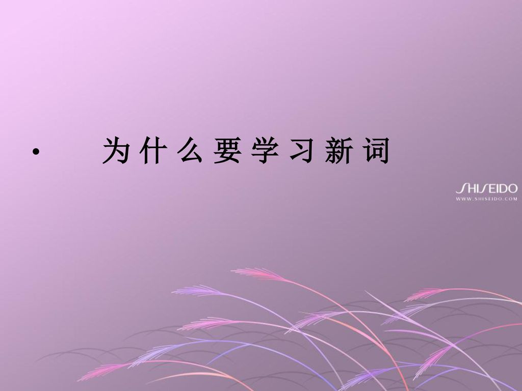 为 什 么 要 学 习 新 词