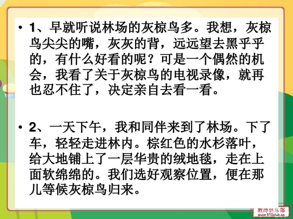 1、早就听说林场的灰椋鸟多。我想，灰椋鸟尖尖的嘴，灰灰的背，远远望去黑乎乎的，有什么好看的呢？可是一个偶然的机会，我看了关于灰椋鸟的电视录像，就再也忍不住了，决定亲自去看一看。