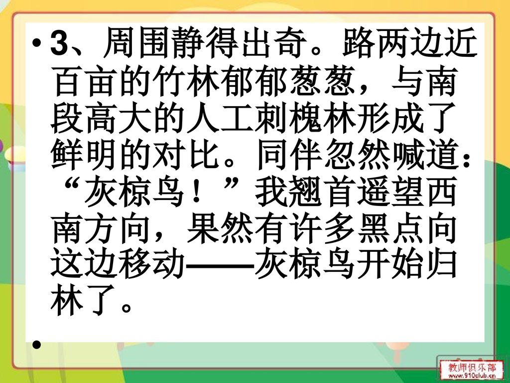 3、周围静得出奇。路两边近百亩的竹林郁郁葱葱，与南段高大的人工刺槐林形成了鲜明的对比。同伴忽然喊道： 灰椋鸟！ 我翘首遥望西南方向，果然有许多黑点向这边移动——灰椋鸟开始归林了。