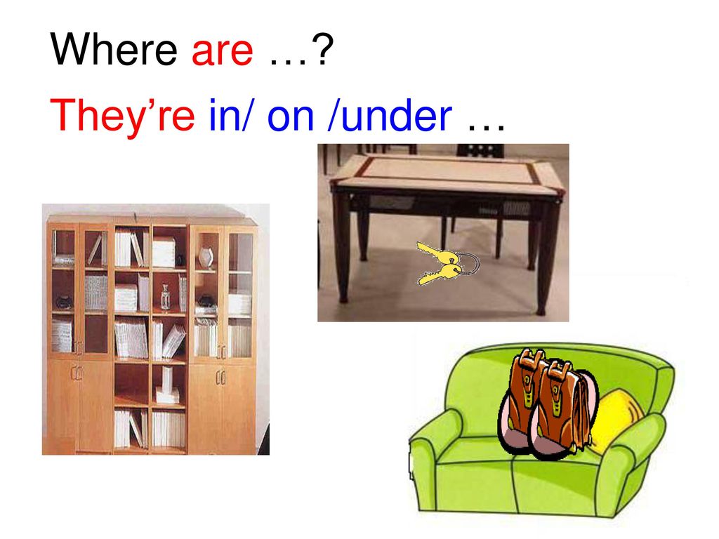 Where are … They’re in/ on /under …