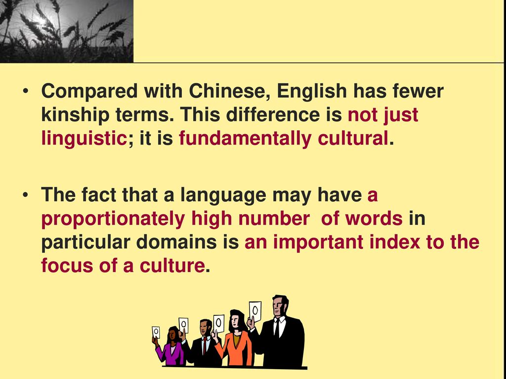 Compared with Chinese, English has fewer kinship terms