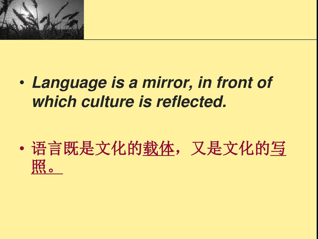 Language is a mirror, in front of which culture is reflected.