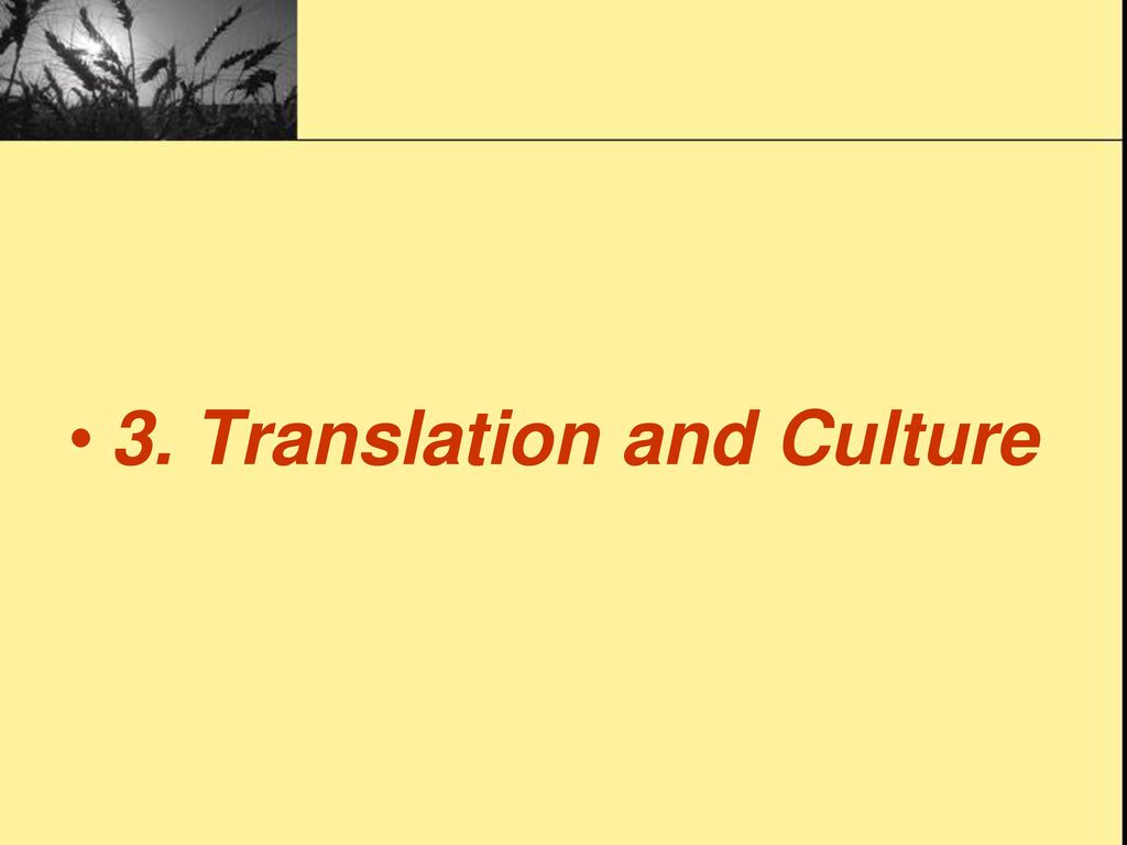 3. Translation and Culture