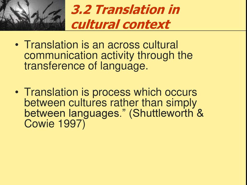 3.2 Translation in cultural context