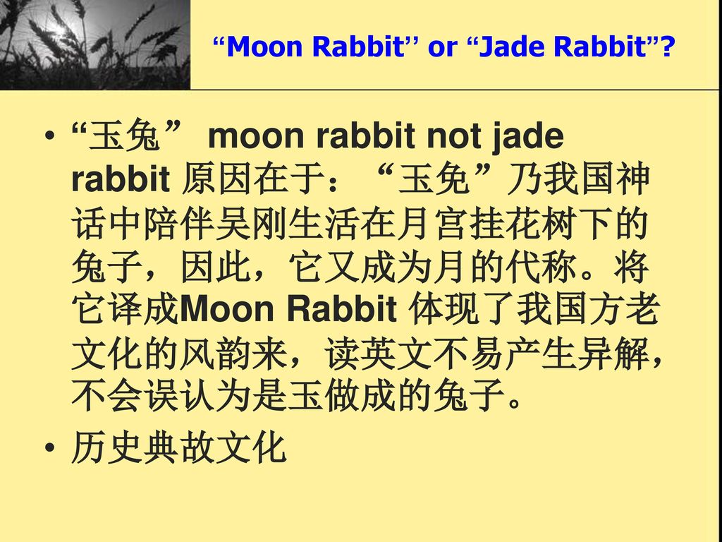 Moon Rabbit’’ or Jade Rabbit