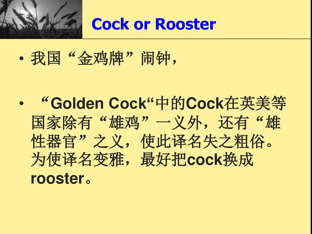 Cock or Rooster 我国 金鸡牌 闹钟， Golden Cock 中的Cock在英美等国家除有 雄鸡 一义外，还有 雄性器官 之义，使此译名失之粗俗。为使译名变雅，最好把cock换成rooster。