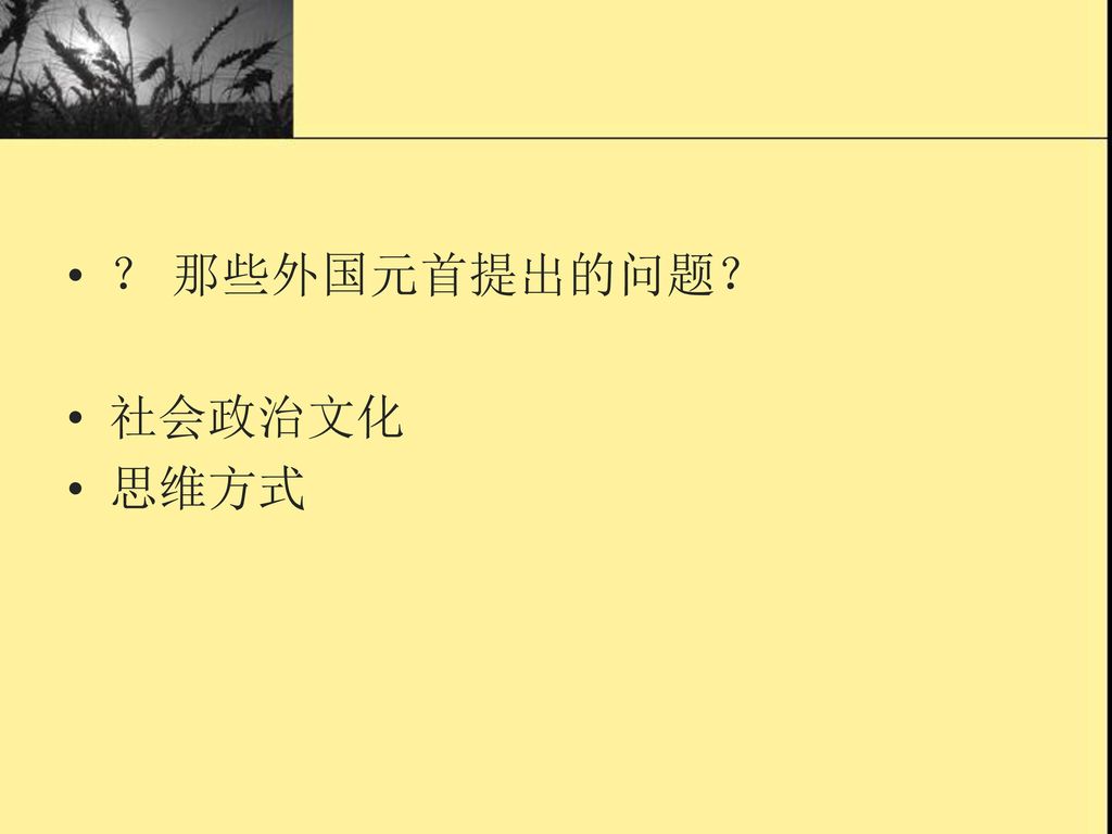 ？ 那些外国元首提出的问题？ 社会政治文化 思维方式