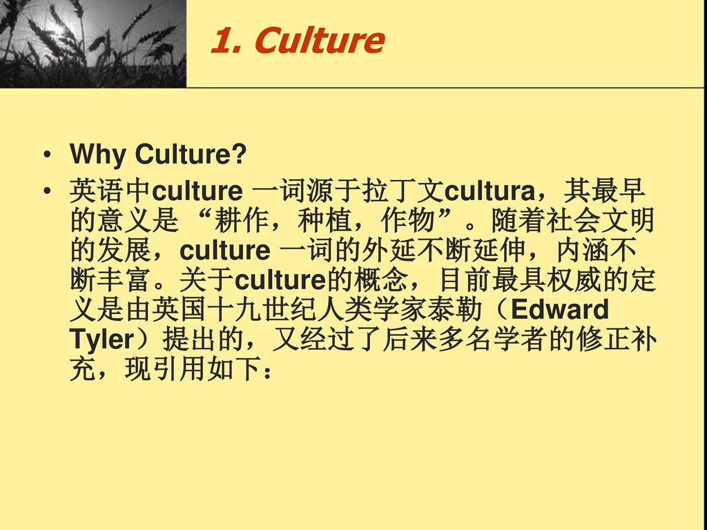 1. Culture Why Culture