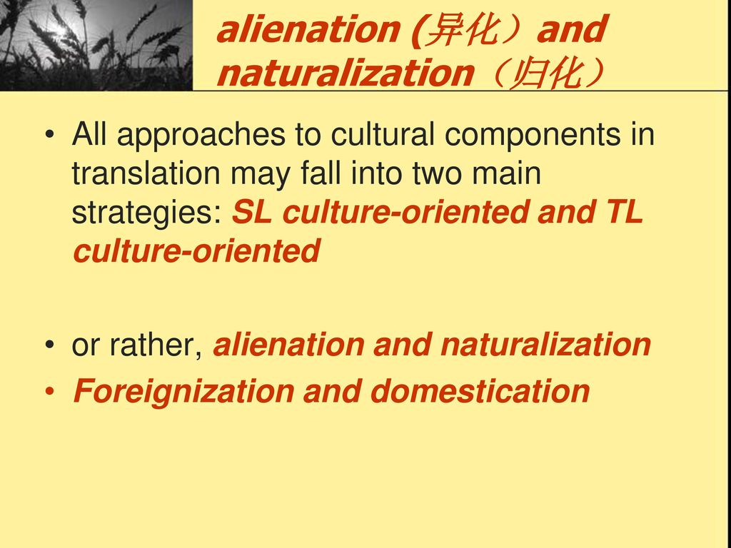 alienation (异化）and naturalization（归化）