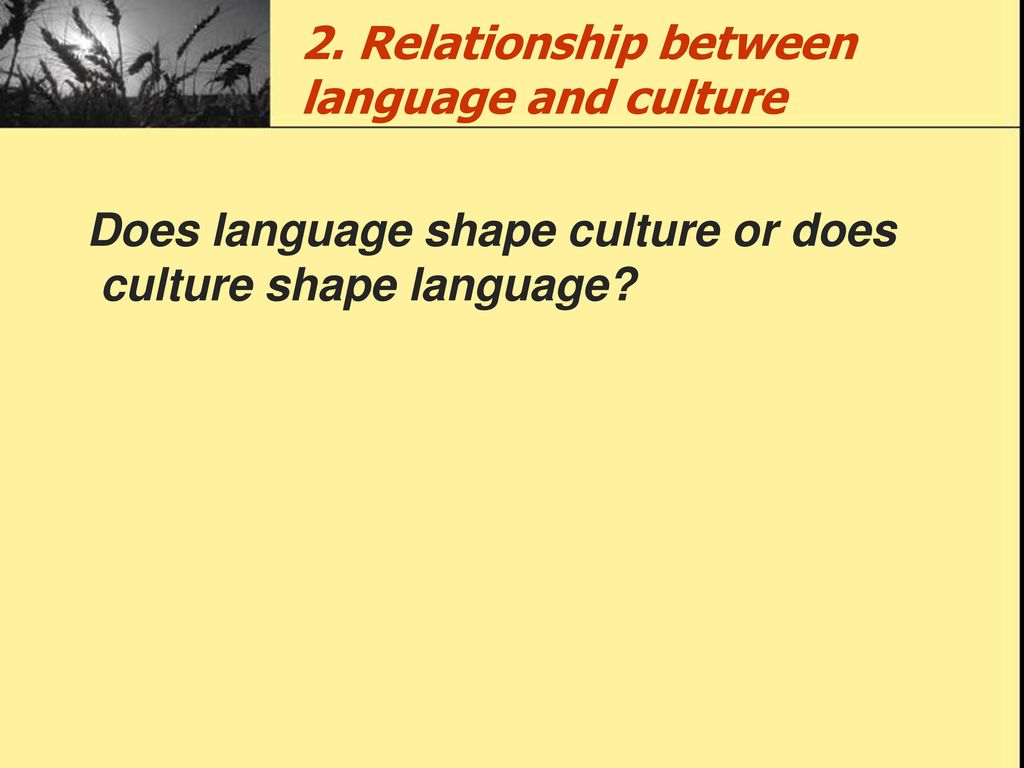 2. Relationship between language and culture