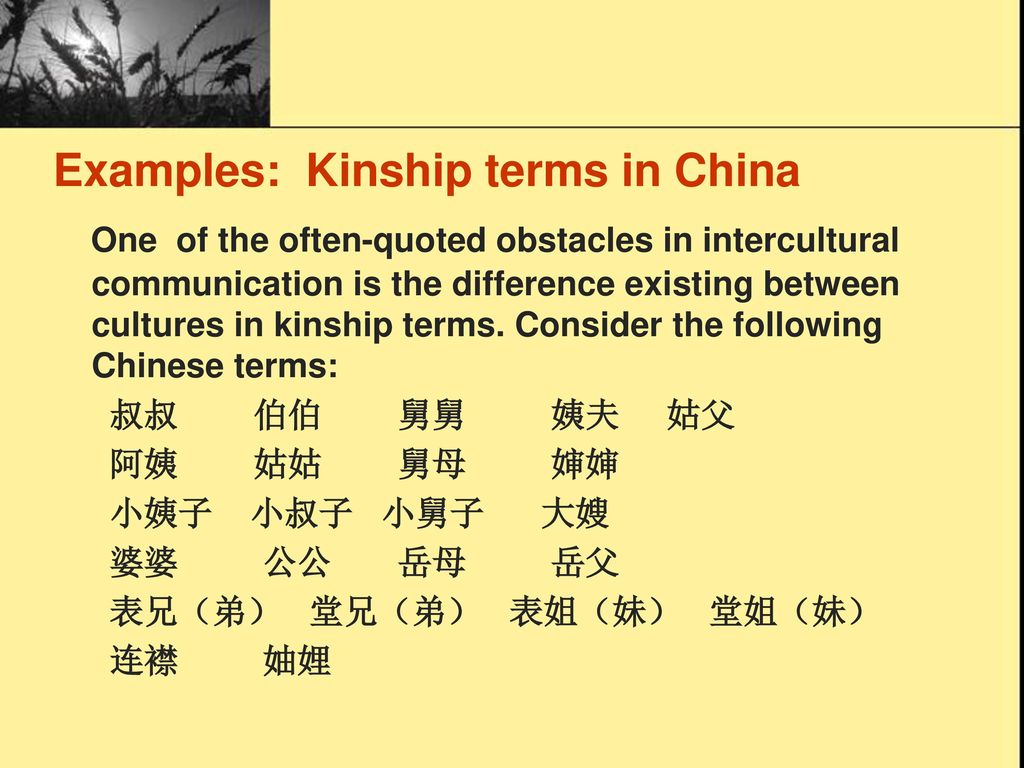 Examples: Kinship terms in China