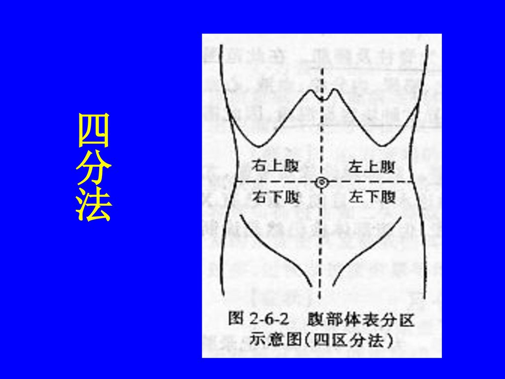 腹部体格检查 赣南医学院附属医院 消化内科 黄才斌 教授 主任医师.