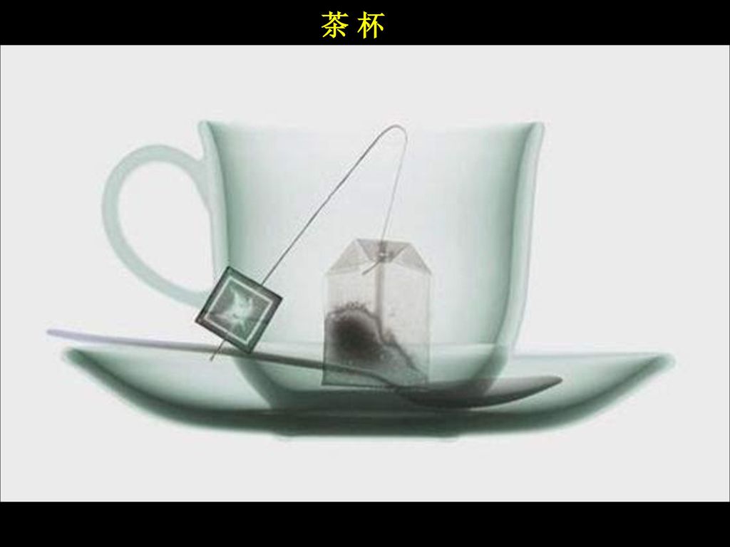 茶 杯