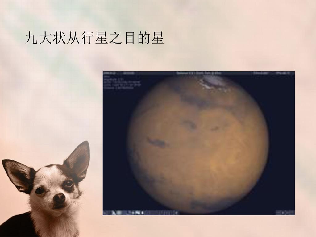 九大状从行星之目的星