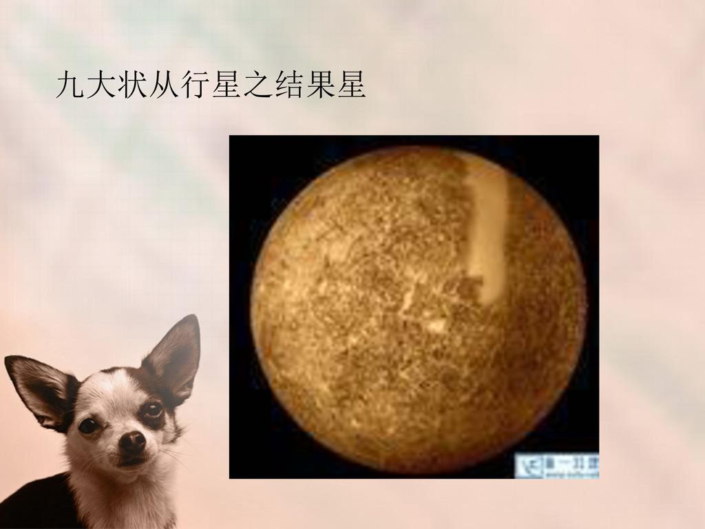 九大状从行星之结果星