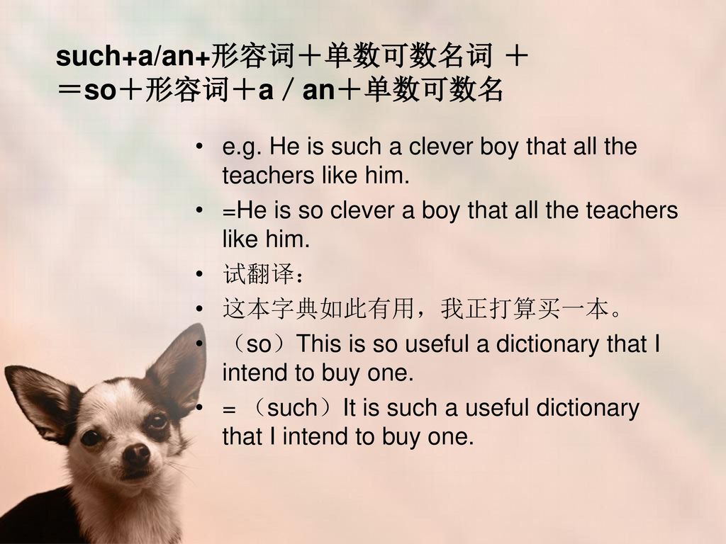 such+a/an+形容词＋单数可数名词 ＋＝so＋形容词＋a／an＋单数可数名