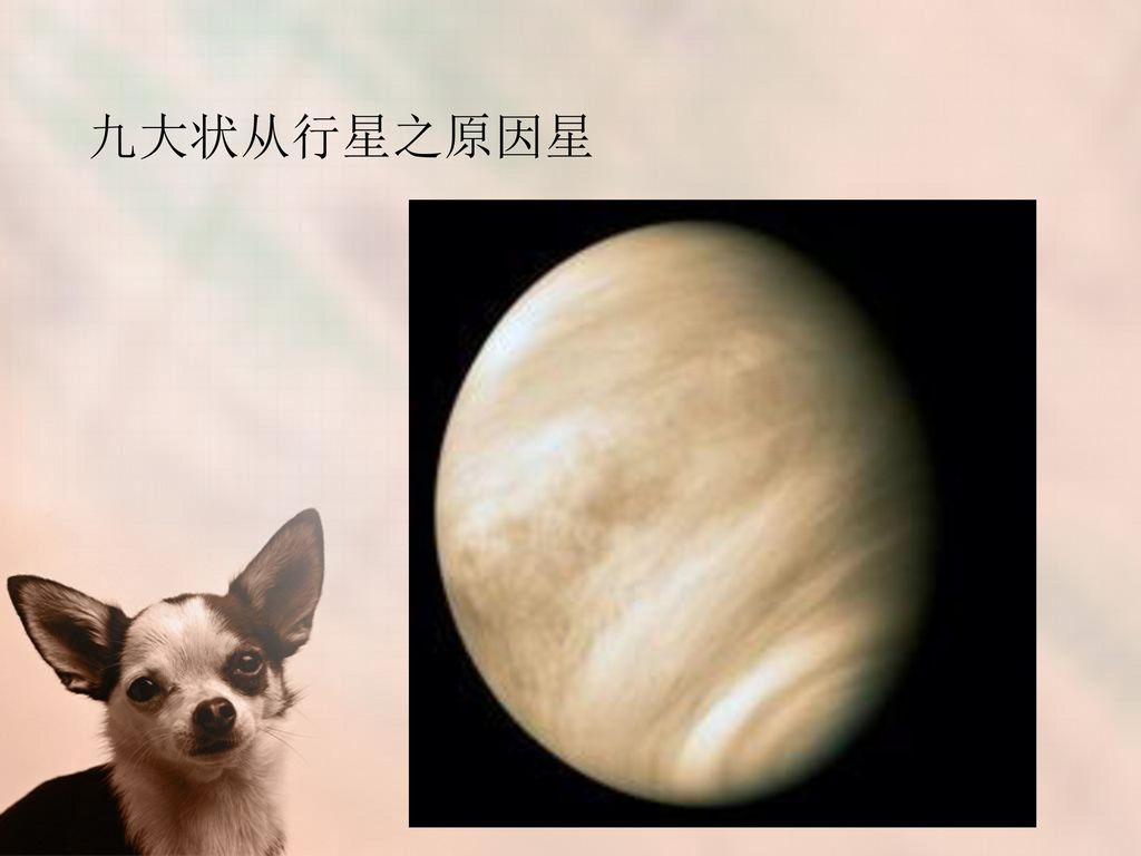 九大状从行星之原因星