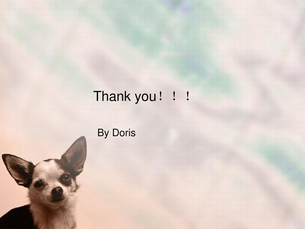 Thank you！！！ By Doris